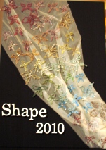 shape2010